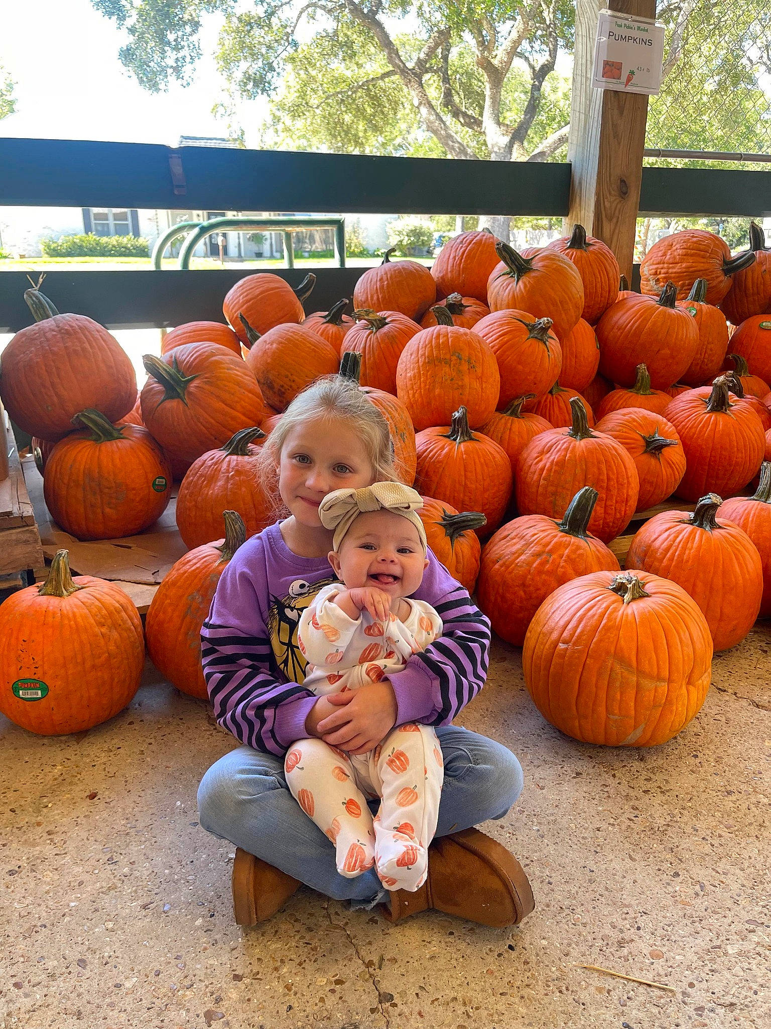 Lilly is registered to the contest to win money with this photo: calabaza, cucurbita, food, gourd, grass, headwear, joy, leisure, local_food, natural_foods, orange, person, plant, produce, pumpkin, sitting, smile, squash, toddler, tree