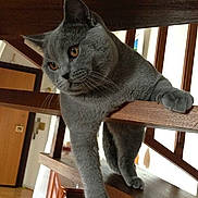 Bounty von Adir participe au concours pour gagner de l'argent avec cette photo :