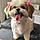 Miss Rosie