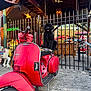 dog, black_dog, vespa, red_scooter, outdoor_cafe, metal_fence, wooden_beams, umbrella, seat, vehicle, pet, tongue, playful, daylight, urban, pavement, vintage, transportation, animal, cute