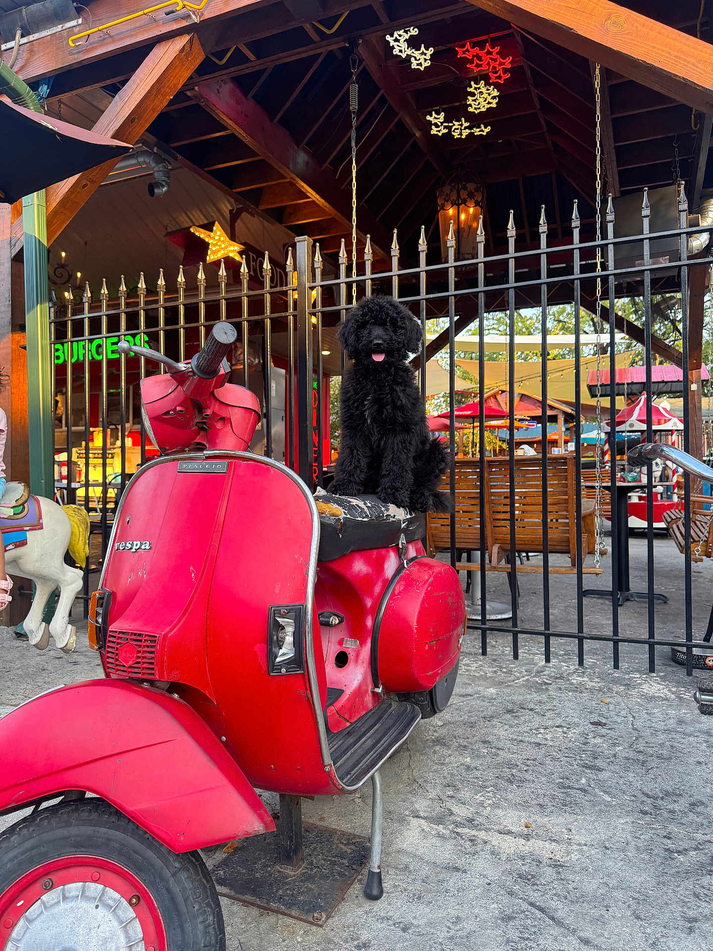 Mylo joined the competition — help win amazing prizes! dog, black_dog, vespa, red_scooter, outdoor_cafe, metal_fence, wooden_beams, umbrella, seat, vehicle, pet, tongue, playful, daylight, urban, pavement, vintage, transportation, animal, cute