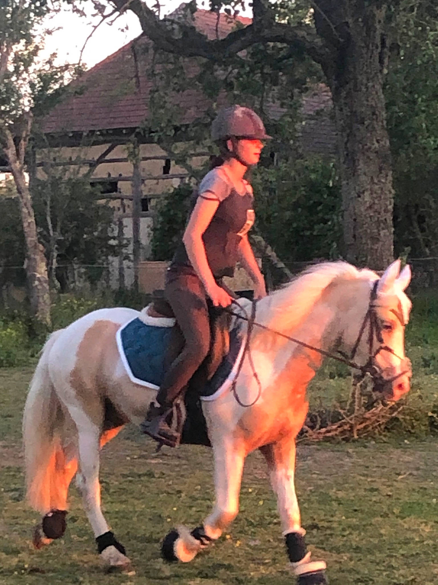 Fantôme a rejoint le concours — aidez-le/la à gagner de superbes lots ! animal_sports, bridle, endurance_riding, equestrian_sport, equestrianism, halter, horse, horse_supplies, horse_tack, mammal, mane, mare, outdoor_recreation, recreation, rein, saddle, stallion, trail_riding, vertebrate, western_riding