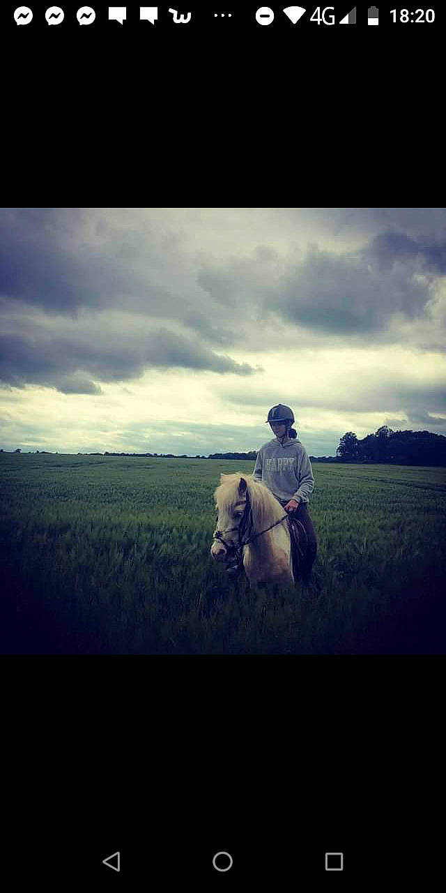 Fantôme participe au concours pour gagner de l'argent avec cette photo : atmosphere, cloud, grassland, horizon, human, landscape, love, meteorological_phenomenon, mountain, photograph, photography, plain, rural_area, sitting, sky, square, stock_photography, sunset, tints_and_shades, tree