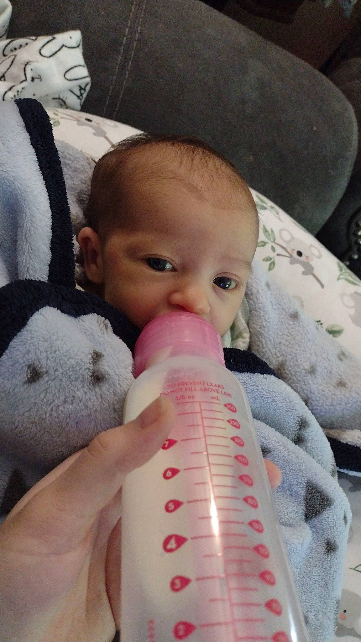 Amara is registered to the contest to win money with this photo: baby, baby_bottle, beauty, cheek, child, comfort, drinkware, eyebrow, eyelash, facial_expression, finger, head, mouth, nose, organ, person, plastic_bottle, product, skin, toddler