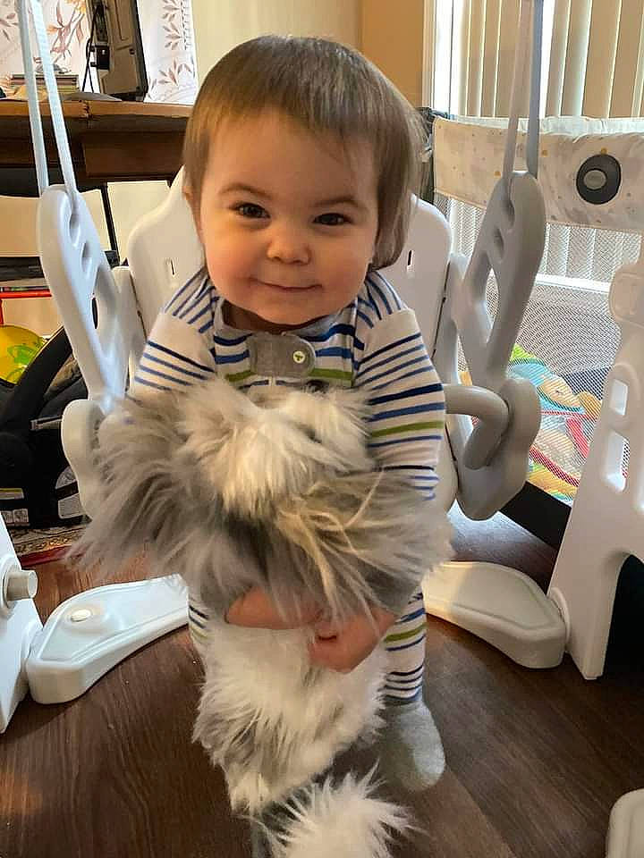 Aster joined the competition — help win amazing prizes! baby, chair, child, companion_dog, facial_expression, felidae, flooring, fun, fur, hairstyle, happy, joy, mammal, person, room, sitting, small_to_medium_sized_cats, smile, tableware, toddler