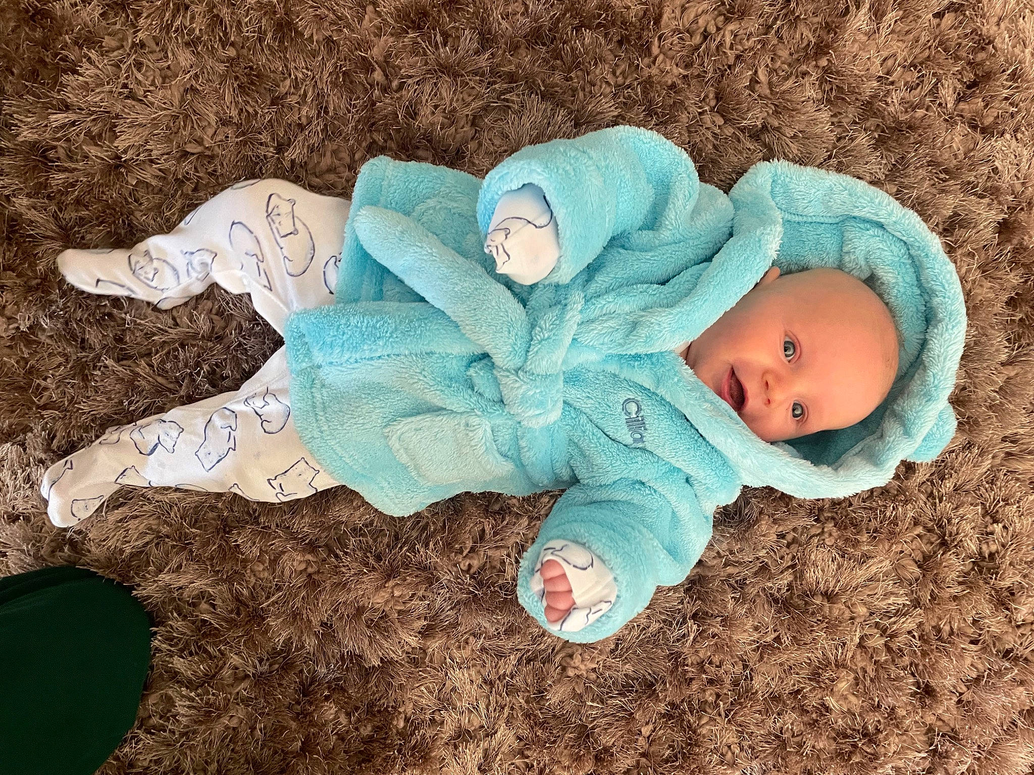 Cillian is registered to the contest to win money with this photo: baby, baby_toddler_clothing, beanie, cap, child, comfort, electric_blue, fashion_accessory, grass, head, hood, hoodie, knit_cap, linens, people_in_nature, person, sitting, soil, toddler, tree