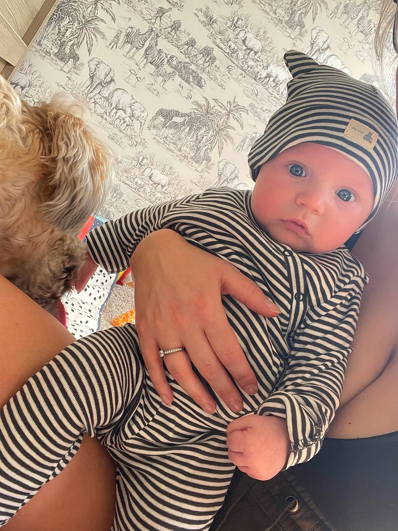 Cillian is registered to the contest to win money with this photo: abdomen, baby, baby_toddler_clothing, cap, child, clothing, comfort, elbow, foot, gesture, grass, happy, headwear, human_body, human_leg, knee, pattern, person, skin, thigh