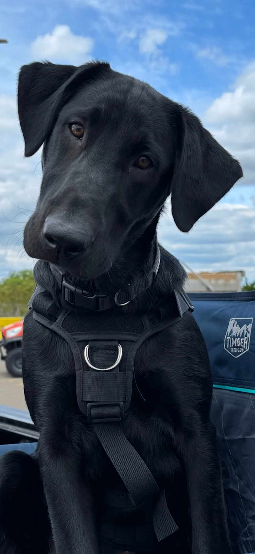 Cooper