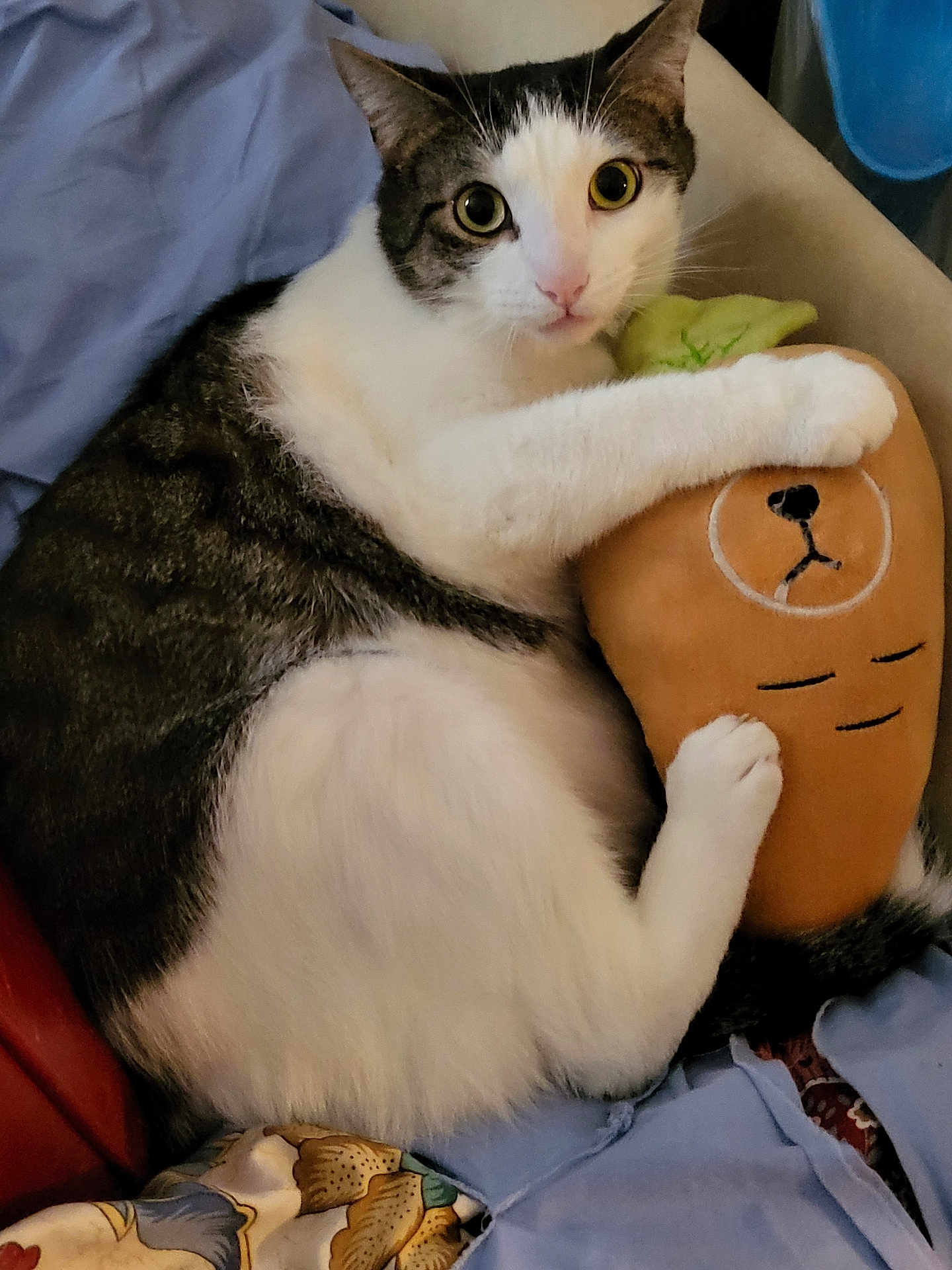 Nico