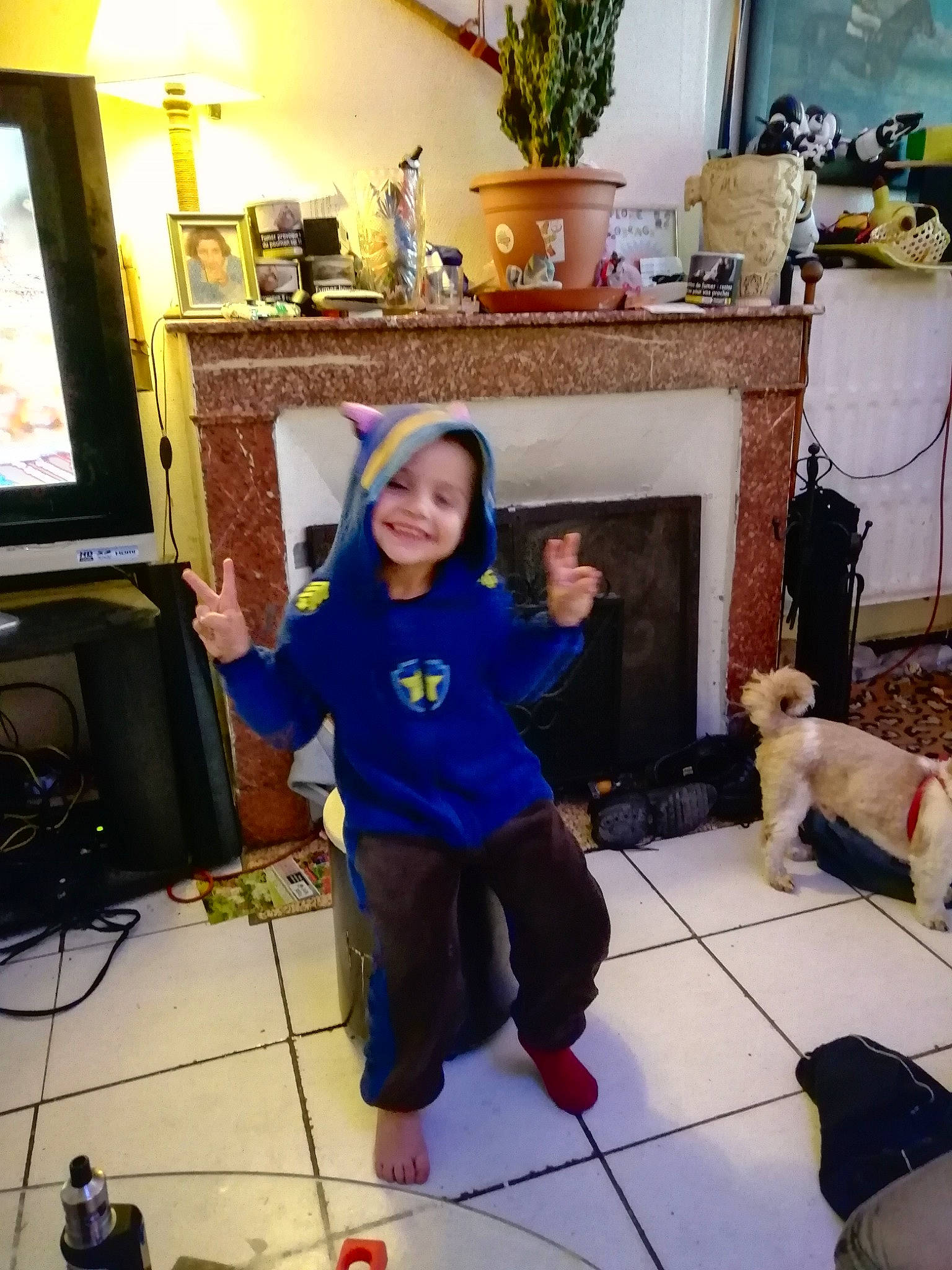 Aaron a rejoint le concours — aidez-le/la à gagner de superbes lots ! blue, chair, child, companion_dog, dog, event, floor, flooring, fun, hardwood, holiday, houseplant, joy, leisure, living_room, person, picture_frame, room, smile, toddler