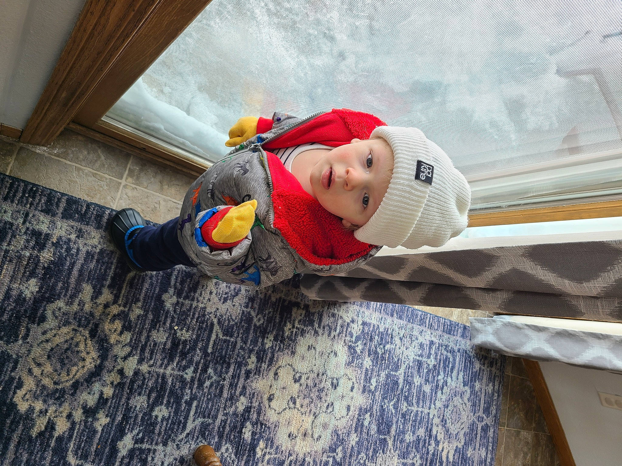 Maddox is registered to the contest to win money with this photo: baby, baseball_cap, beanie, cap, carmine, child, doll, flooring, fun, hardwood, hat, headwear, leisure, pattern, person, personal_protective_equipment, recreation, stuffed_toy, toddler, tree