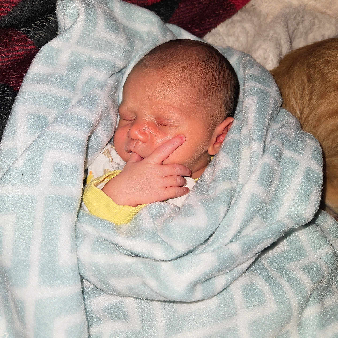 Elijah joined the competition — help win amazing prizes! baby, bed, blanket, child, cozy, cute, face, hand, indoor, infant, newborn, pattern, peaceful, person, resting, sleeping, soft, warm, wrapped, yellow_clothing