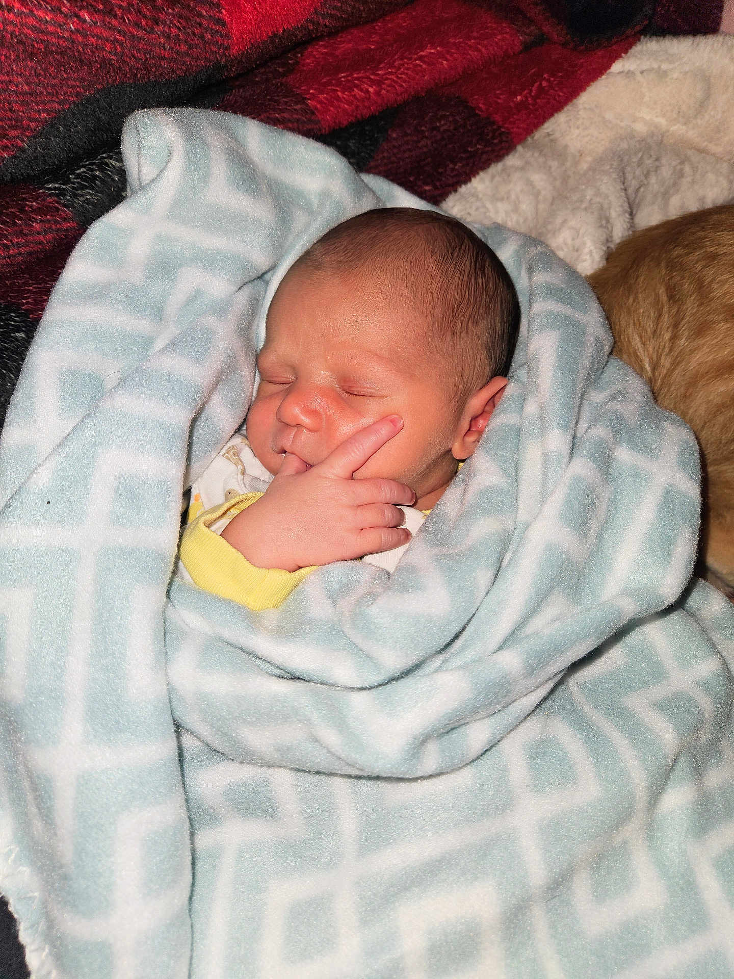 Elijah joined the competition — help win amazing prizes! newborn, baby, sleeping, blanket, soft, hand, face, wrapped, cozy, indoor, pattern, yellow_clothing, infant, peaceful, cute, child, person, resting, warm, bed
