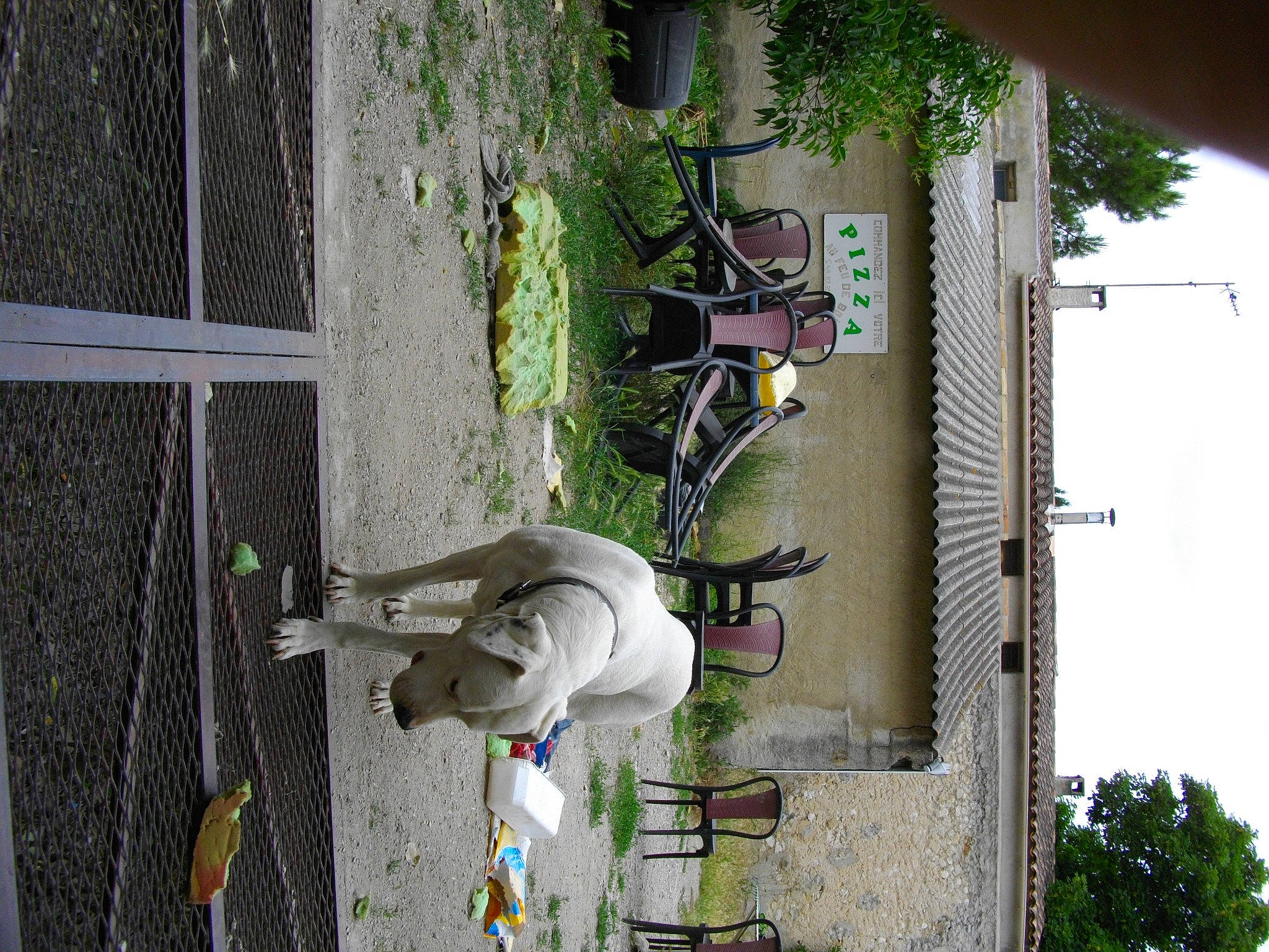 Unès a rejoint le concours — aidez-le/la à gagner de superbes lots ! architecture, art, building, concrete, facade, flower, green, leaf, line, plant, sky, tree, urban_design, wall, window, yellow