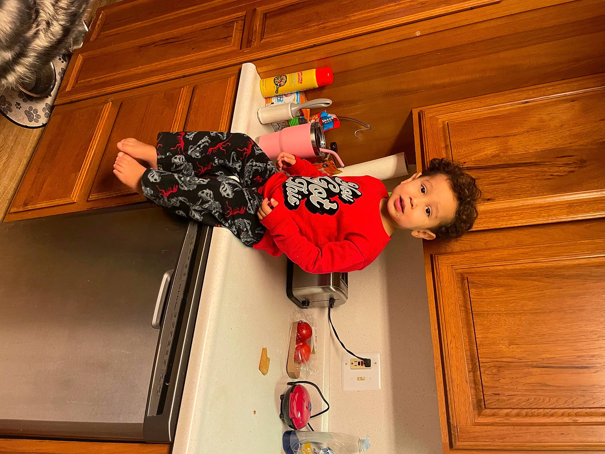 Carter joined the competition — help win amazing prizes! cabinetry, carmine, ceiling, child, door, door_handle, fun, happy, hardwood, home_door, house, orange, person, room, toddler, window, wood, wood_stain