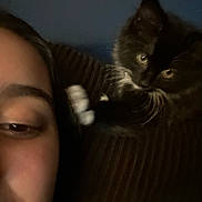 Basil is registered to the contest to win money with this photo: person, kitten, cat, black_and_white_cat, couch, indoor, closeup, pet, feline, whiskers, curious, dim_lighting, cozy, relaxed, partial_face, blur, ribbed_texture, companion, soft_light, home