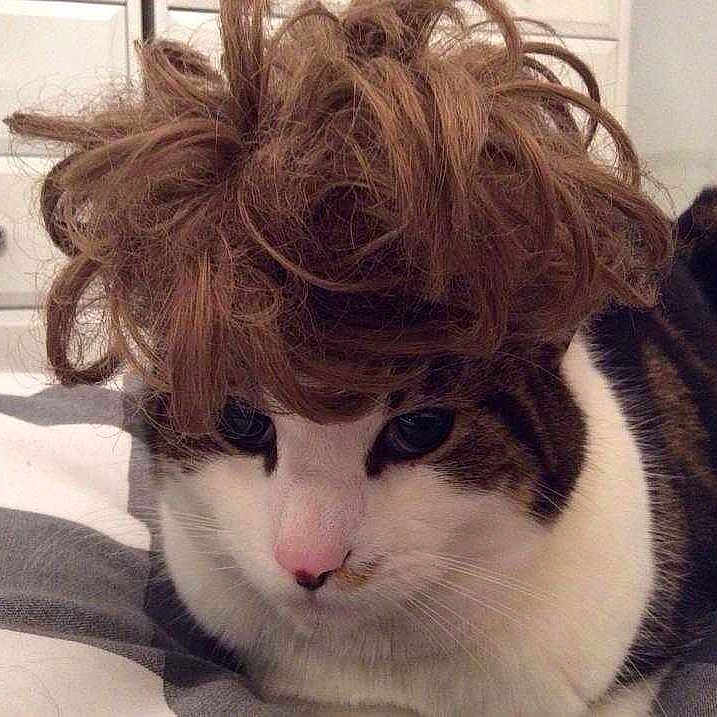 Louis