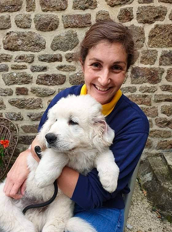 Spei participe au concours pour gagner de l'argent avec cette photo : brick, canidae, carnivore, companion_dog, dog, dog_breed, fur, grass, hair, happy, labradoodle, organ, plant, poodle, sitting, smile, sporting_group, terrier, toy, toy_dog