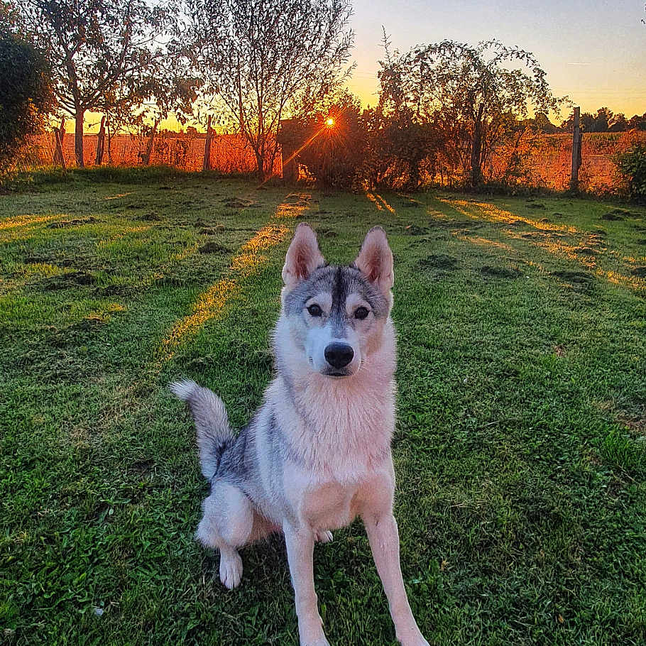 Sky