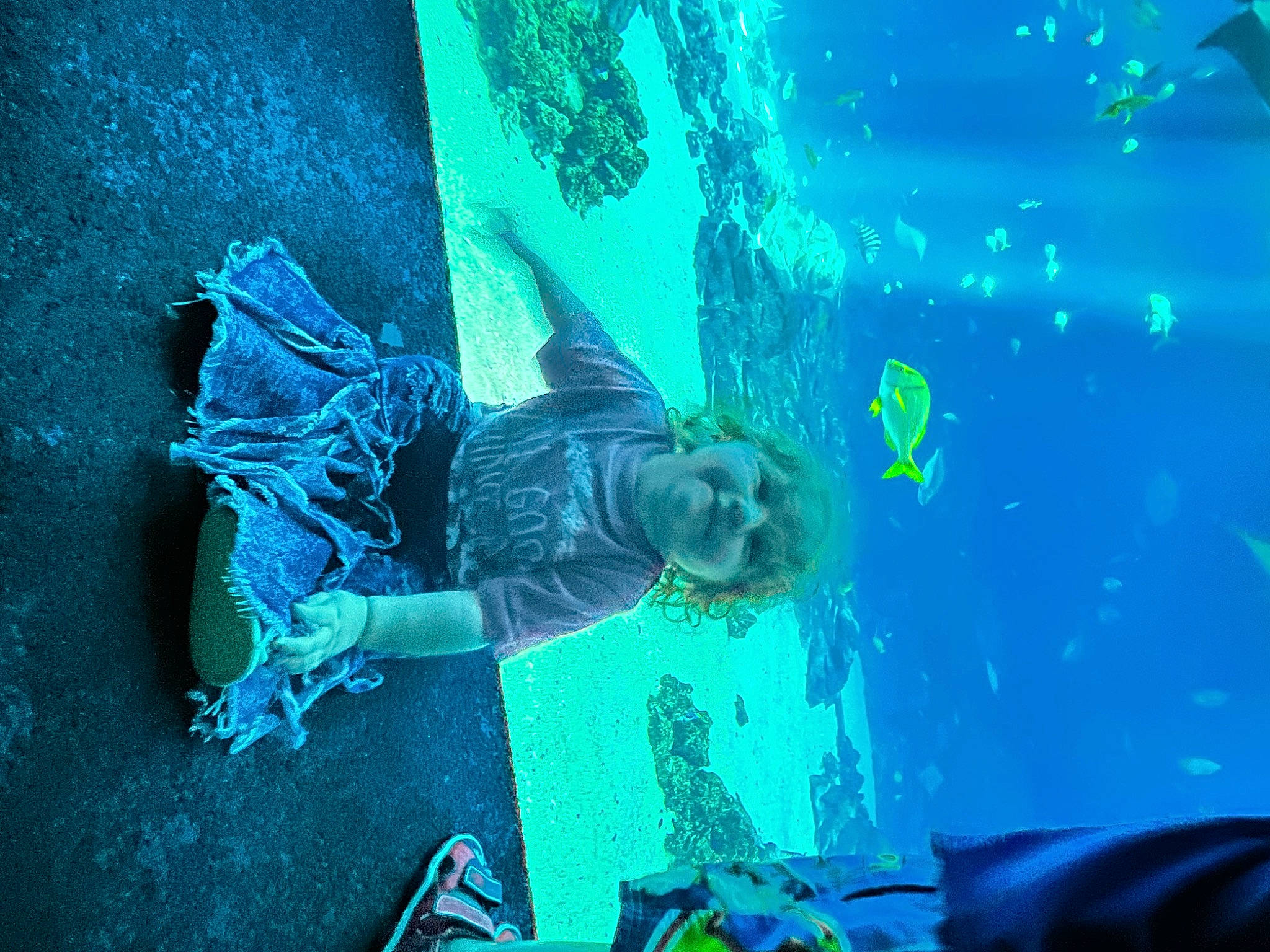 Lagertha is registered to the contest to win money with this photo: aqua, aquarium, art, azure, diving_equipment, electric_blue, fin, fish, fun, joy, leisure, marine_biology, marine_mammal, ocean, organism, person, recreation, toddler, underwater, underwater_diving