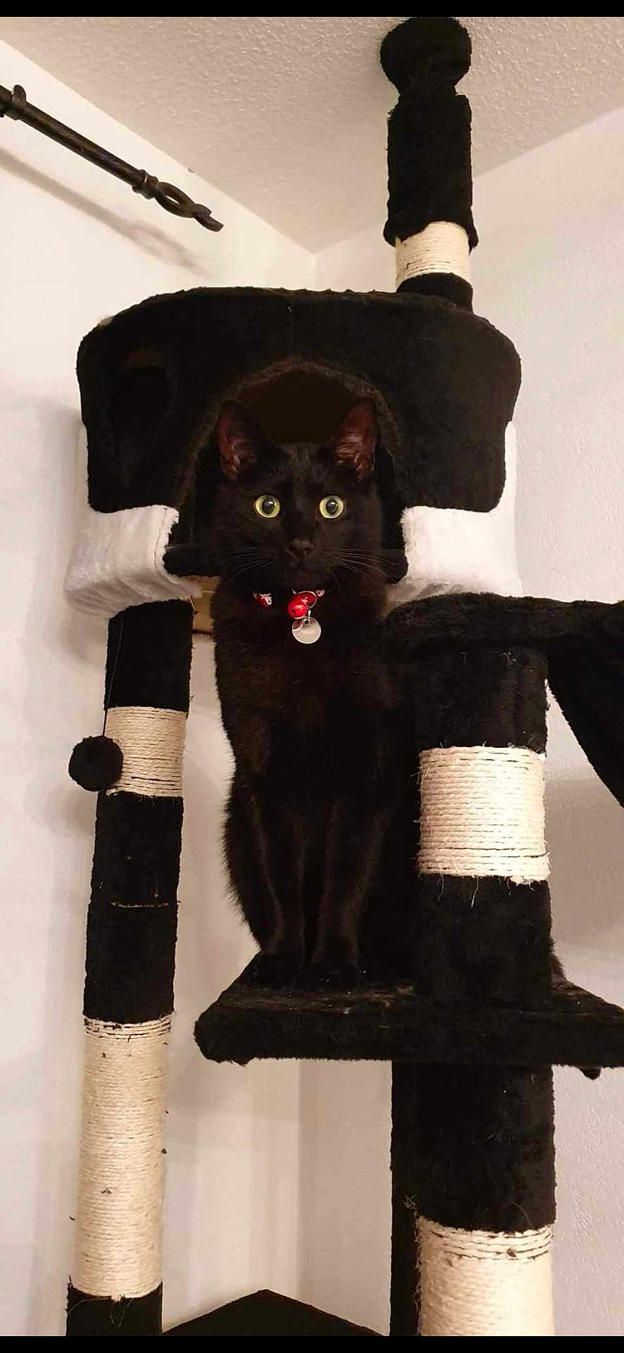 Paulo