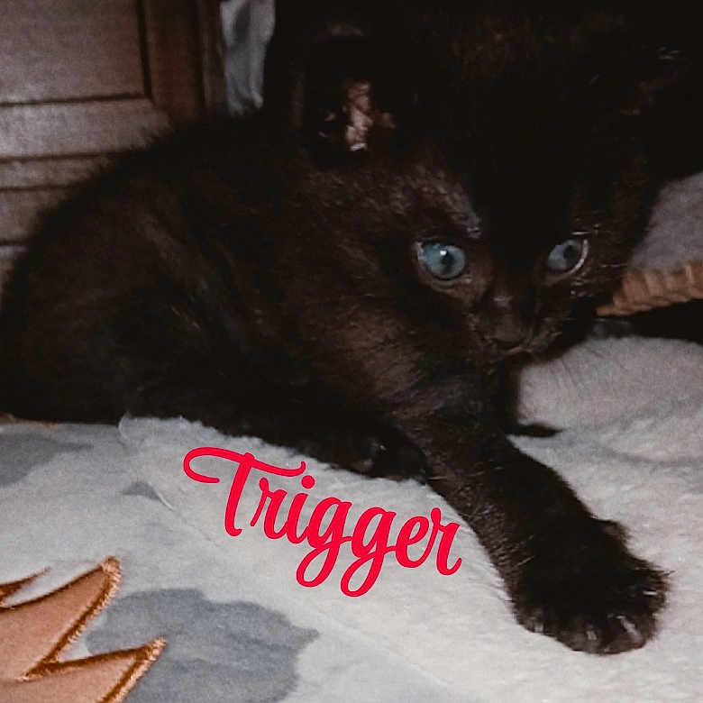 Trigger