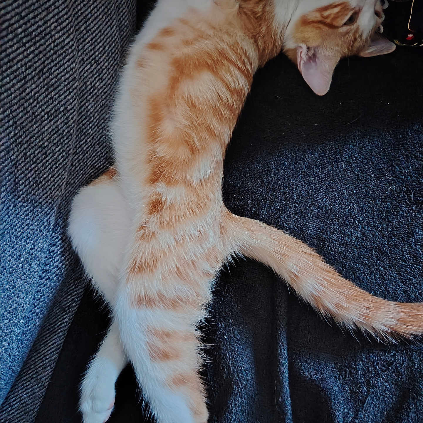Moumousse