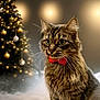 cat, tabby_cat, red_bow_tie, christmas_tree, ornaments, lights, holiday, festive, decorations, indoor, furry, pet, portrait, whiskers, soft_lighting, mist, celebration, close_up, cute, animal