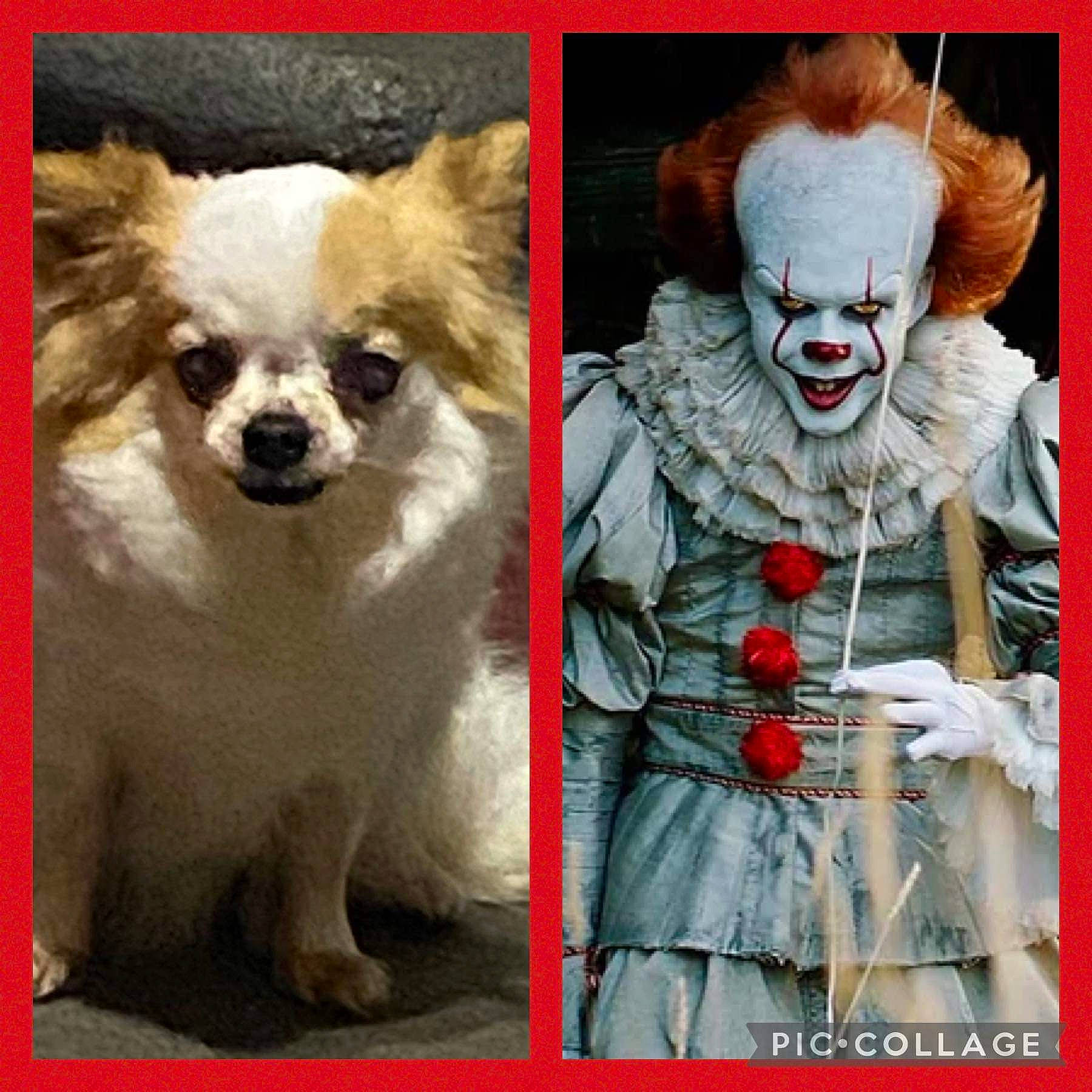 Pennywise