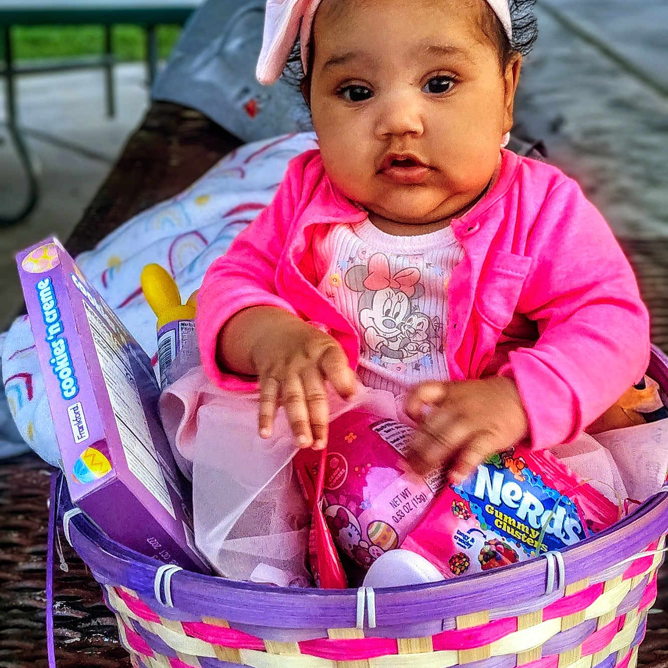 Novah joined the competition — help win amazing prizes! baby, child, infant, portrait, sitting, basket, easter_basket, candy, sweets, pink_clothing, headband, bow, minnie_mouse, outdoor, park, table, blurred_background, adorable, serious_expression, colorful