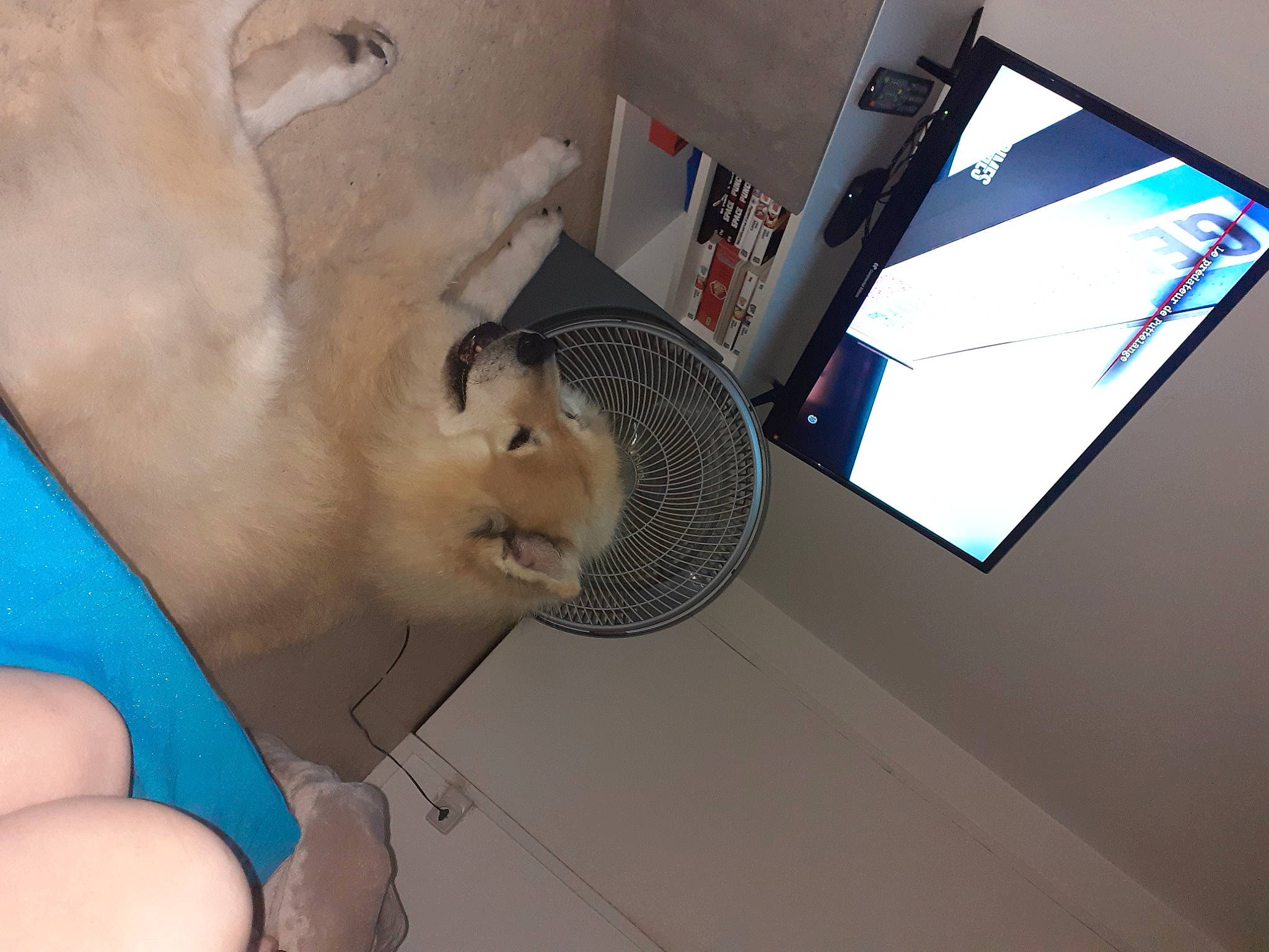 Many participe au concours pour gagner de l'argent avec cette photo : bathing, chest, display_device, ear, elbow, eyelash, fun, gesture, jaw, nose, room, visual_arts