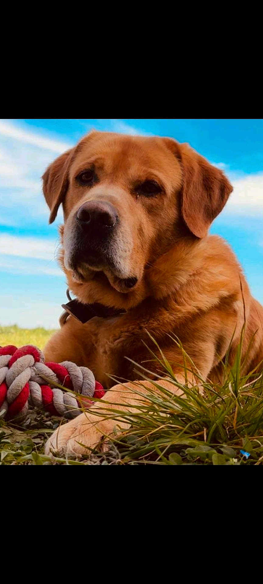 Rocky