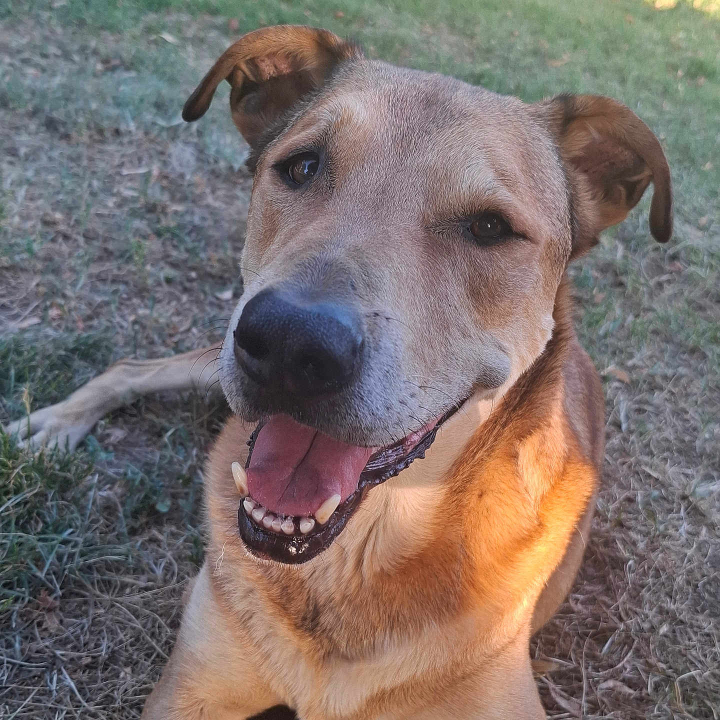 Monty