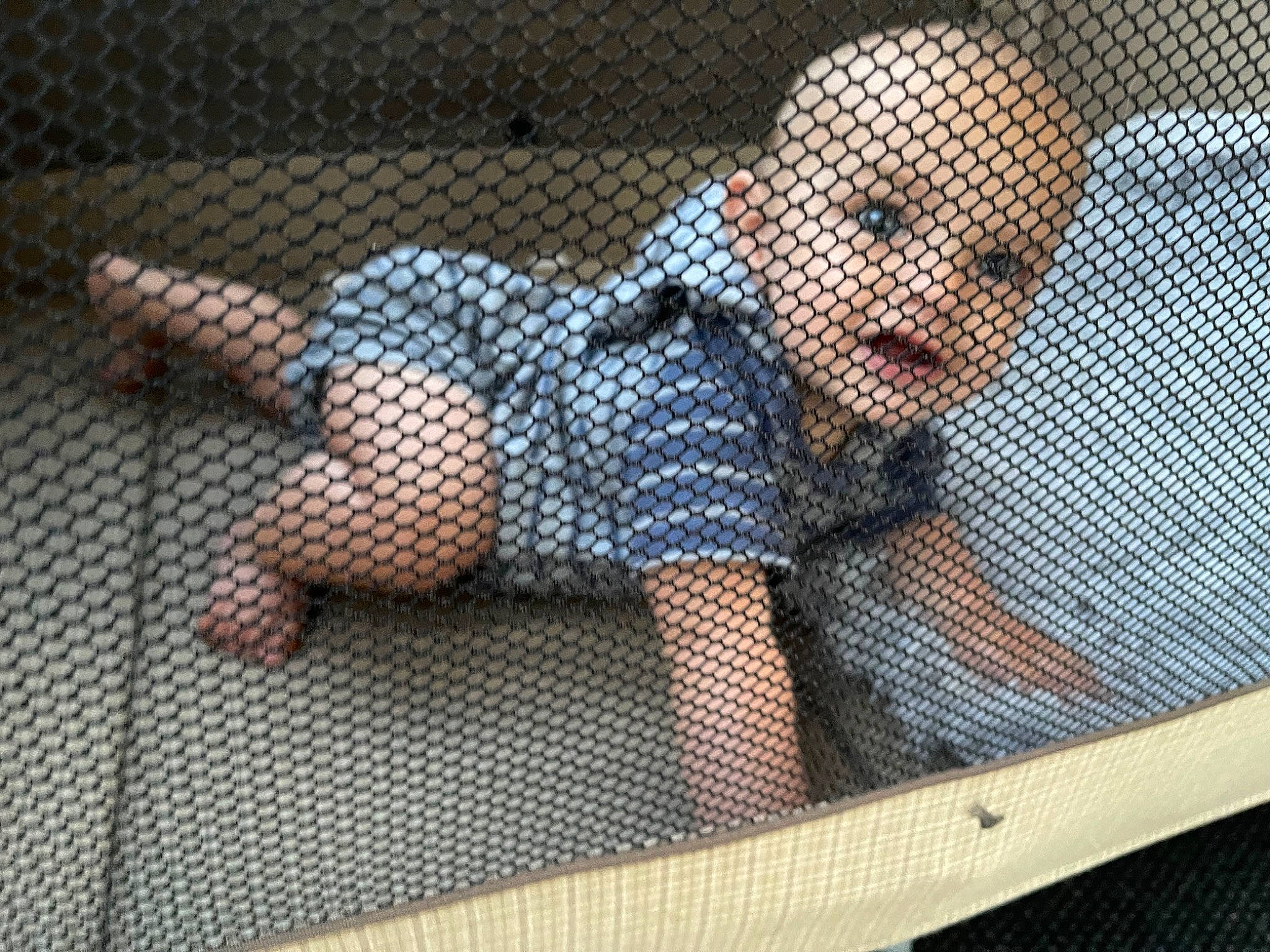 Kayce joined the competition — help win amazing prizes! barefoot, chest, child, comfort, flooring, foot, fun, human_leg, knee, leisure, mesh, net, pattern, person, recreation, sitting, thigh, toddler, water