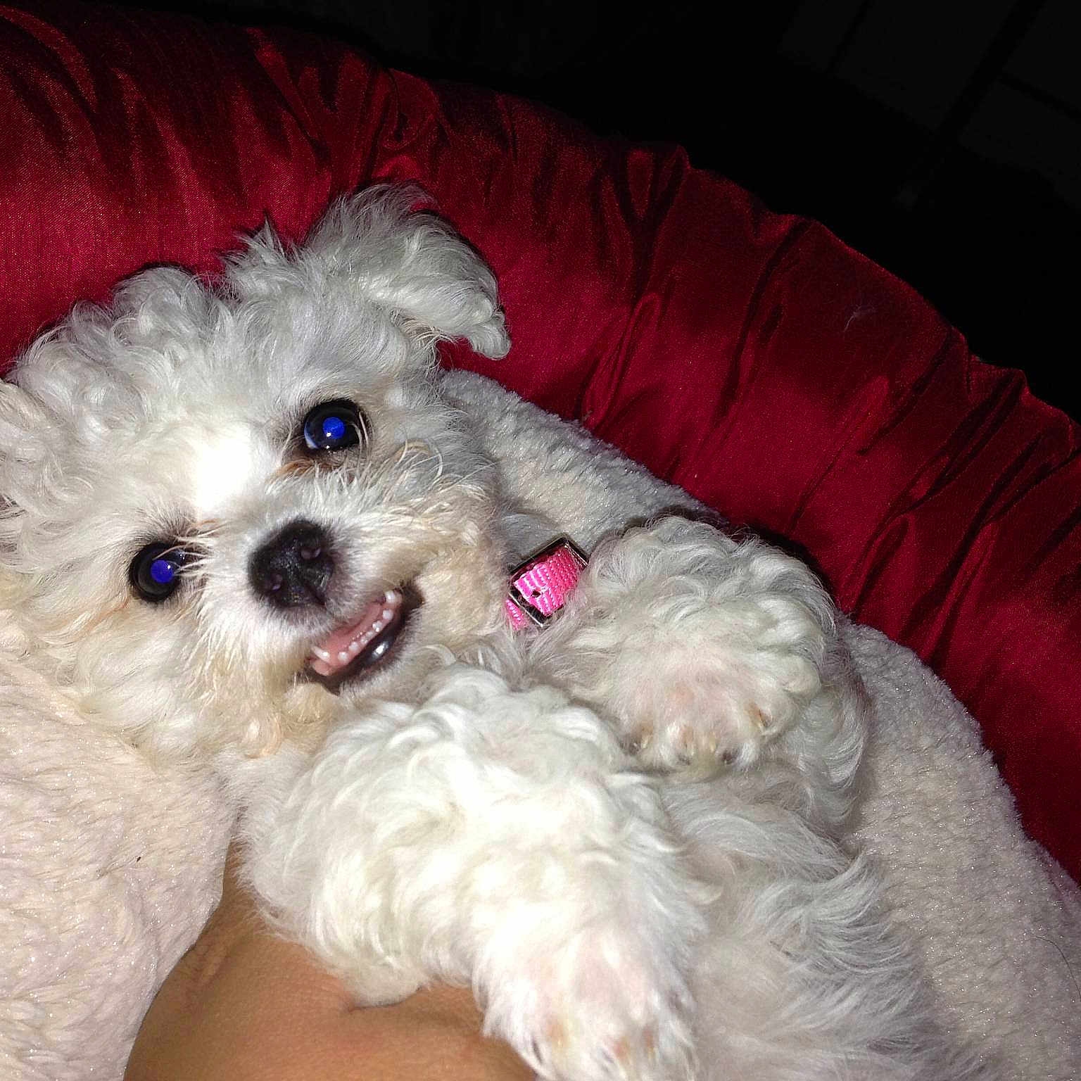 Bella is registered to the contest to win money with this photo: