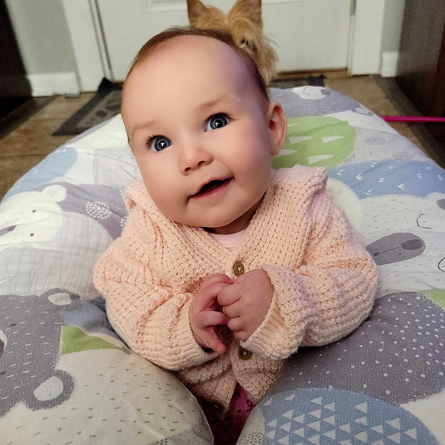 Casey joined the competition — help win amazing prizes! applique, architecture, baby, bed, bedroom, blanket, blonde, bodypart, building, closet, clothing, couch, cupboard, cushion, dress, embroidery, face, finger, frown, furniture