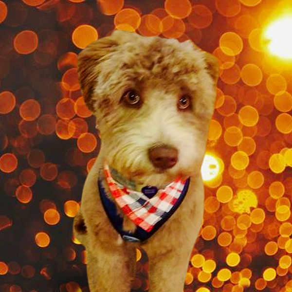 Tucker