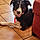 Billy