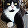 Oggy