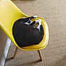 Oggy a rejoint le concours — aidez-le/la à gagner de superbes lots ! cat, yellow_chair, black_and_white, curled_up, indoor, bedroom, bed, carpet, furniture, resting, pet, cozy, sleeping, domestic_animal, wooden_legs, relaxation, home, comfort, animal, chair