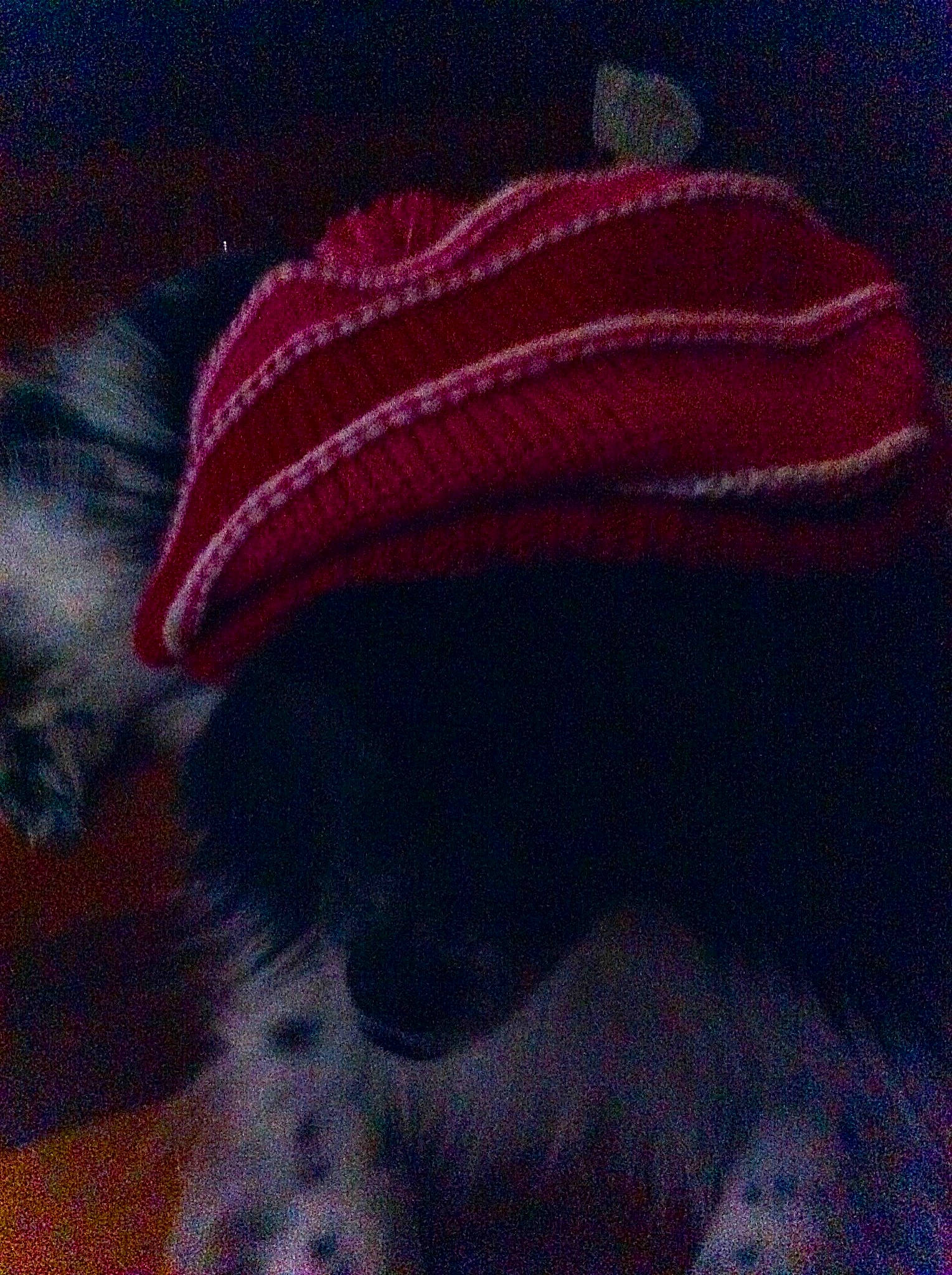 Bo-bo is registered to the contest to win money with this photo: beanie, beret, bonnet, cap, crochet, hat, headgear, knit_cap, knitting, wool, woolen