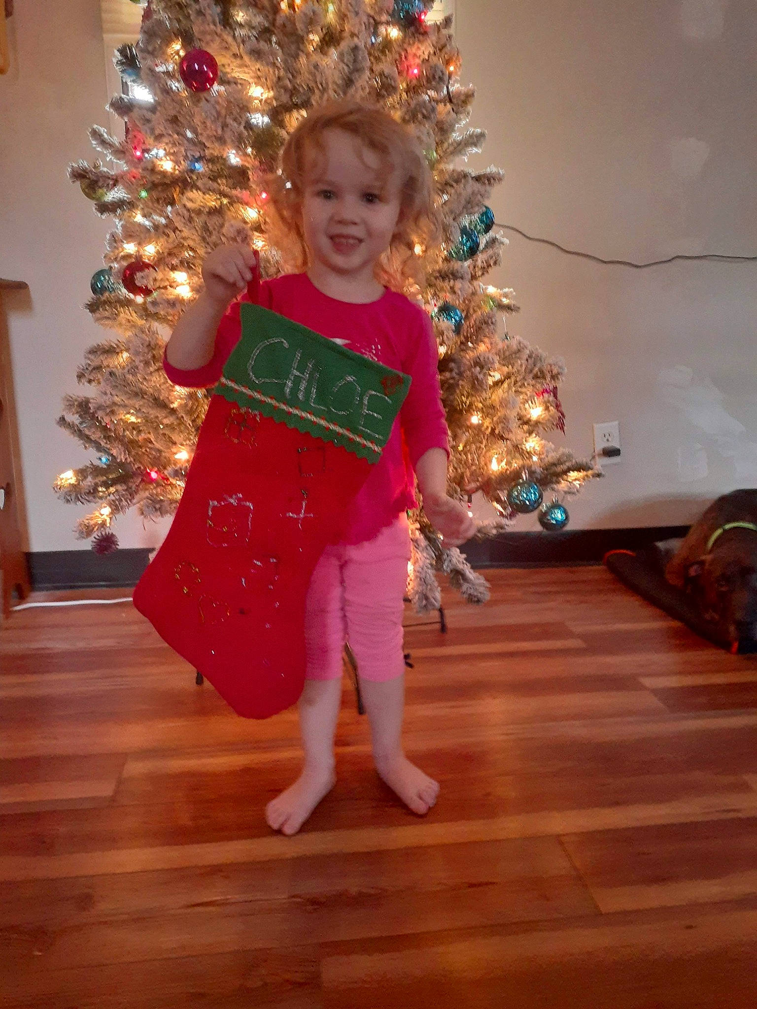Chloe is registered to the contest to win money with this photo: christmas, christmas_decoration, christmas_eve, christmas_ornament, christmas_tree, dress, event, flooring, fun, happy, hardwood, holiday, holiday_ornament, interior_design, joy, ornament, person, smile, toddler, tree