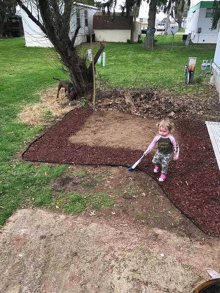 Chloe is registered to the contest to win money with this photo: asphalt, brickwork, compost, concrete, flooring, garden, grass, grass_family, groundcover, landscape, landscaping, lawn, mulch, person, plant, road_surface, shade, shrub, sidewalk, soil