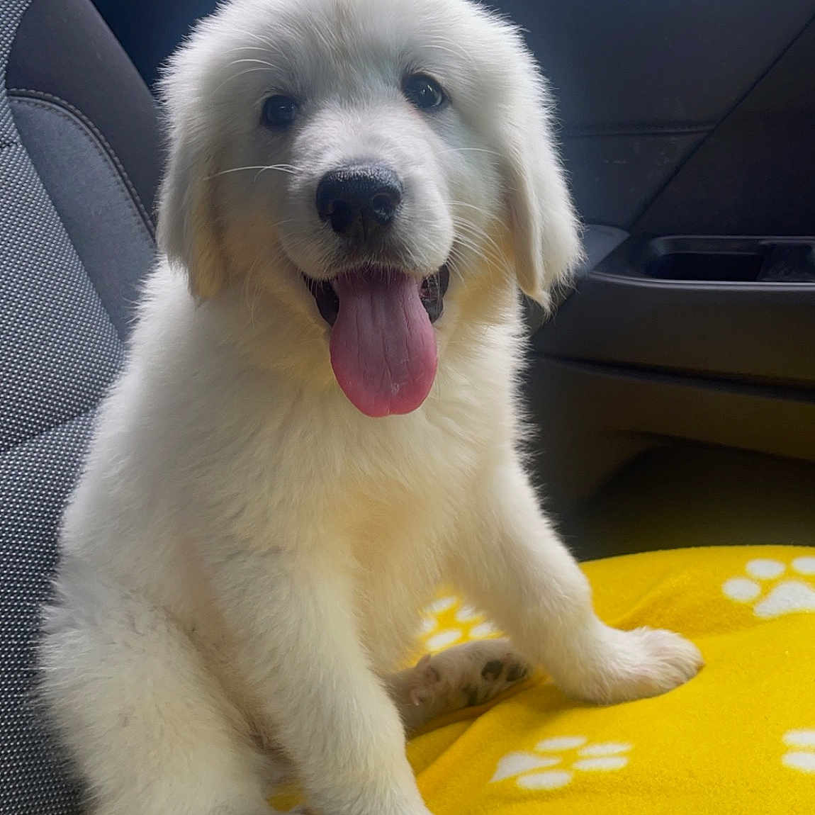 Winston