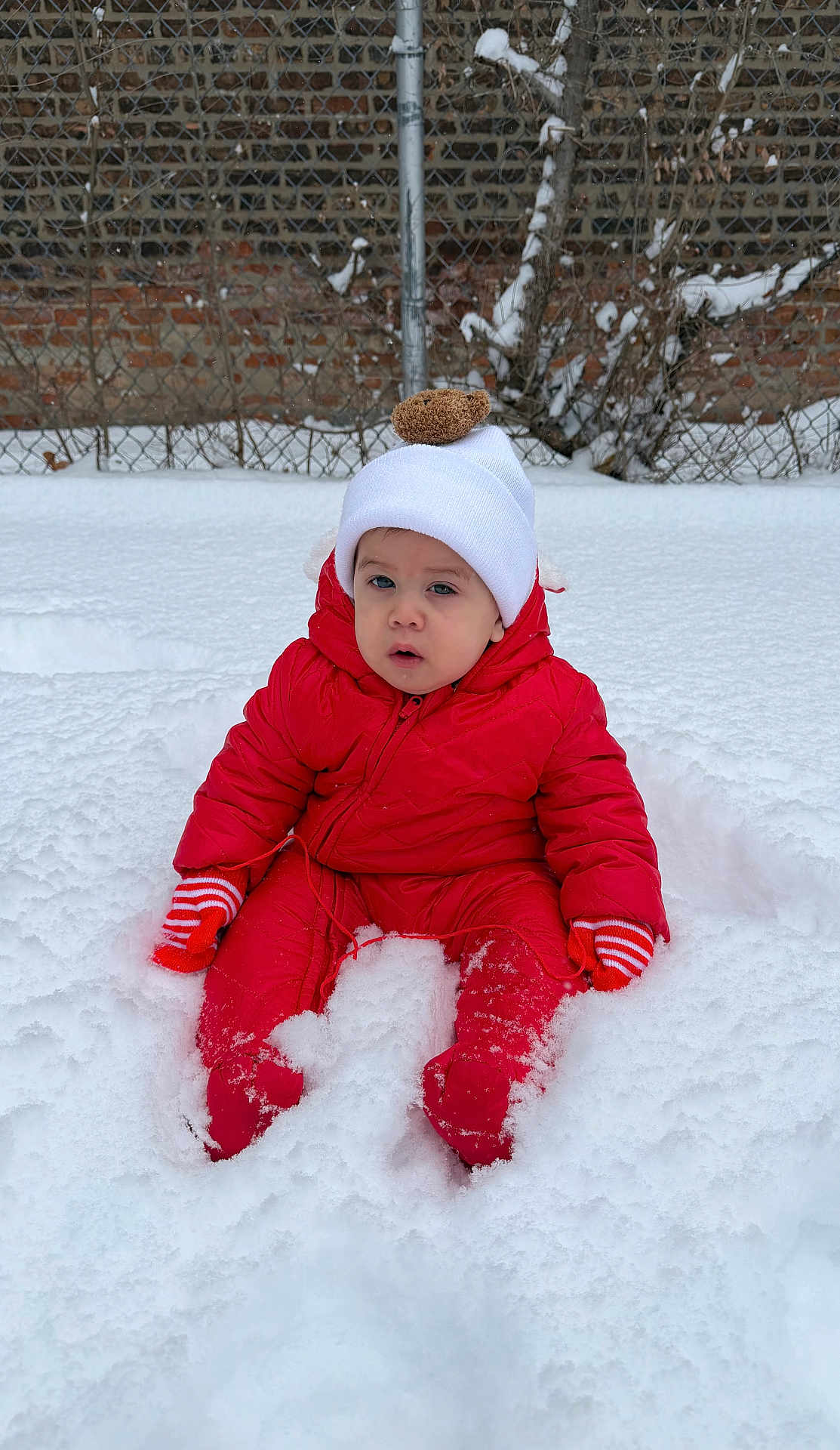 Eithan is registered to the contest to win money with this photo: toddler, child, snow, winter, red_snowsuit, mittens, hat, pom_pom, outdoor, cold_weather, snowy_ground, fence, bare_branches, winter_clothing, sitting, young_child, face, expression, nature, daytime