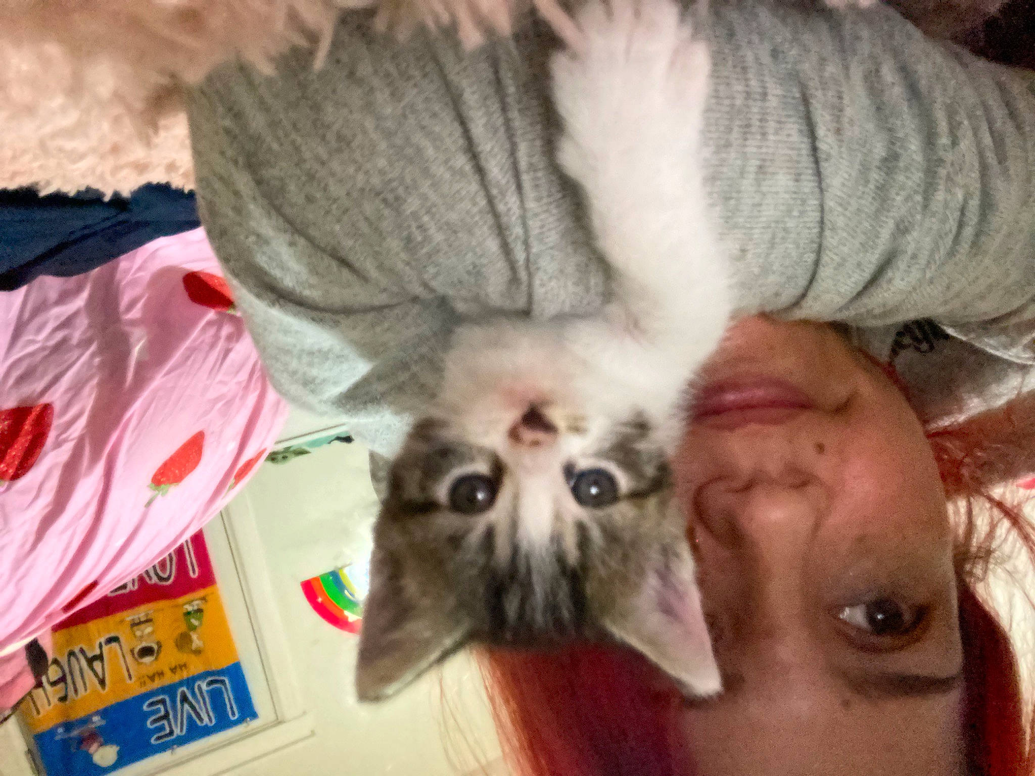 Beans joined the competition — help win amazing prizes! beard, carnivore, cat, comfort, domestic_short_haired_cat, ear, eye, fawn, felidae, fur, jaw, moustache, mouth, paw, selfie, small_to_medium_sized_cats, snout, sunglasses, vertebrate, whiskers