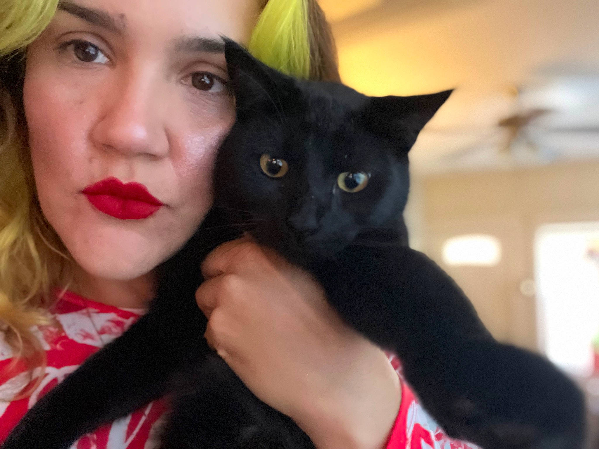 Joji joined the competition — help win amazing prizes! bangs, black_cat, carnivore, cat, domestic_short_haired_cat, ear, eye, eyelash, feathered_hair, felidae, finger, formal_wear, fur, gesture, hand, happy, head, iris, small_to_medium_sized_cats, whiskers