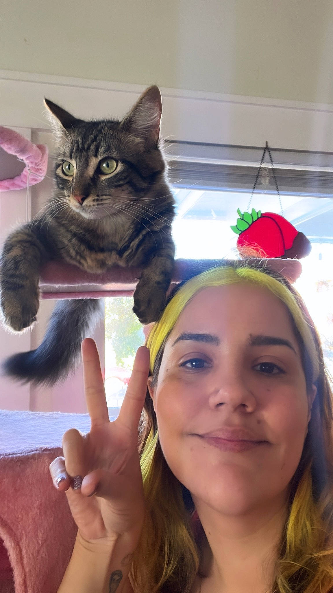 Worms joined the competition — help win amazing prizes! carnivore, cat, domestic_short_haired_cat, event, fashion_accessory, felidae, fun, fur, gesture, happy, headpiece, nail, party_supply, plant, selfie, small_to_medium_sized_cats, smile, snapshot, tail, whiskers