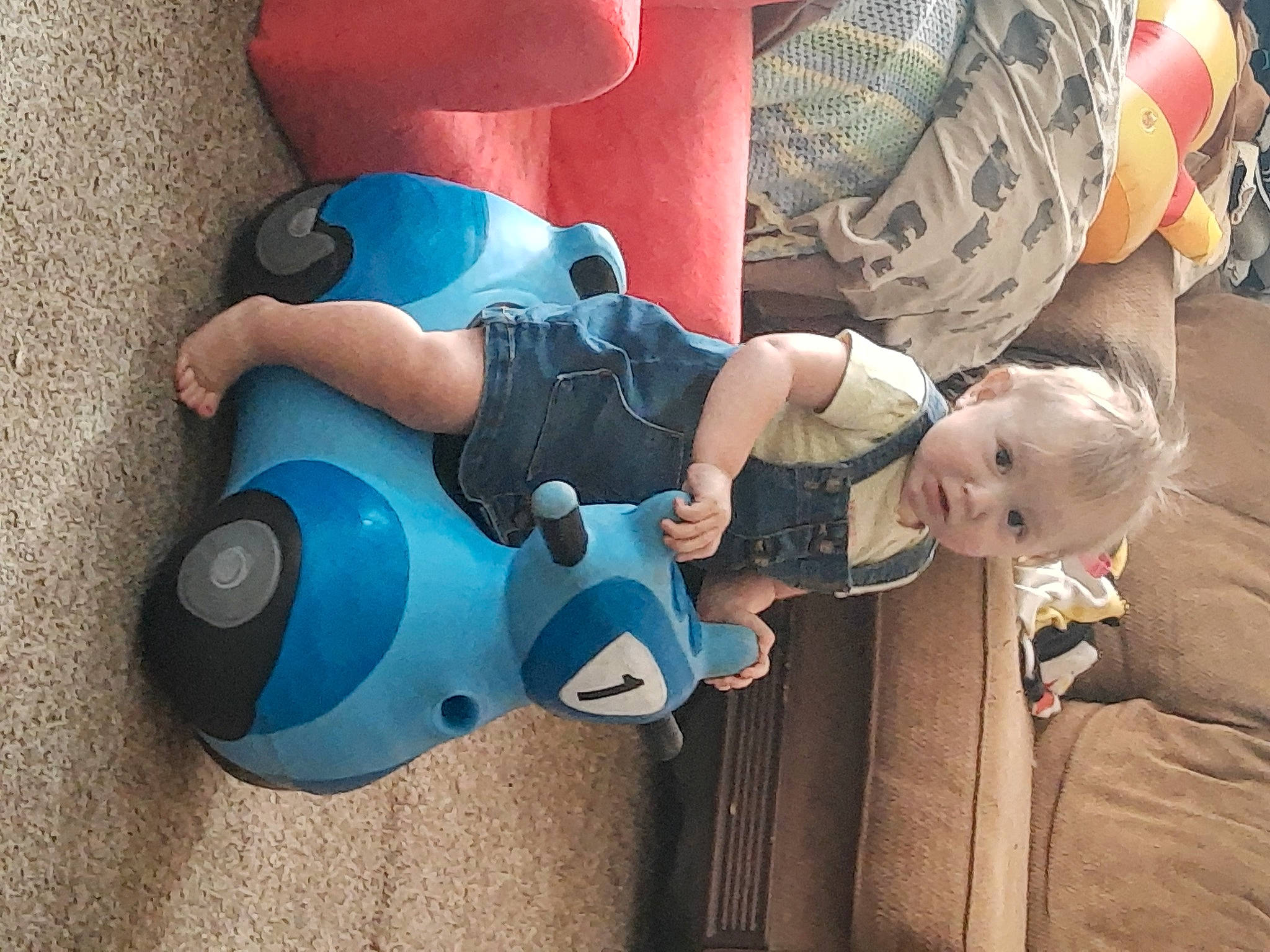 Karma joined the competition — help win amazing prizes! baby, blue, child, ear, fun, joint, person, play, toddler, vacation