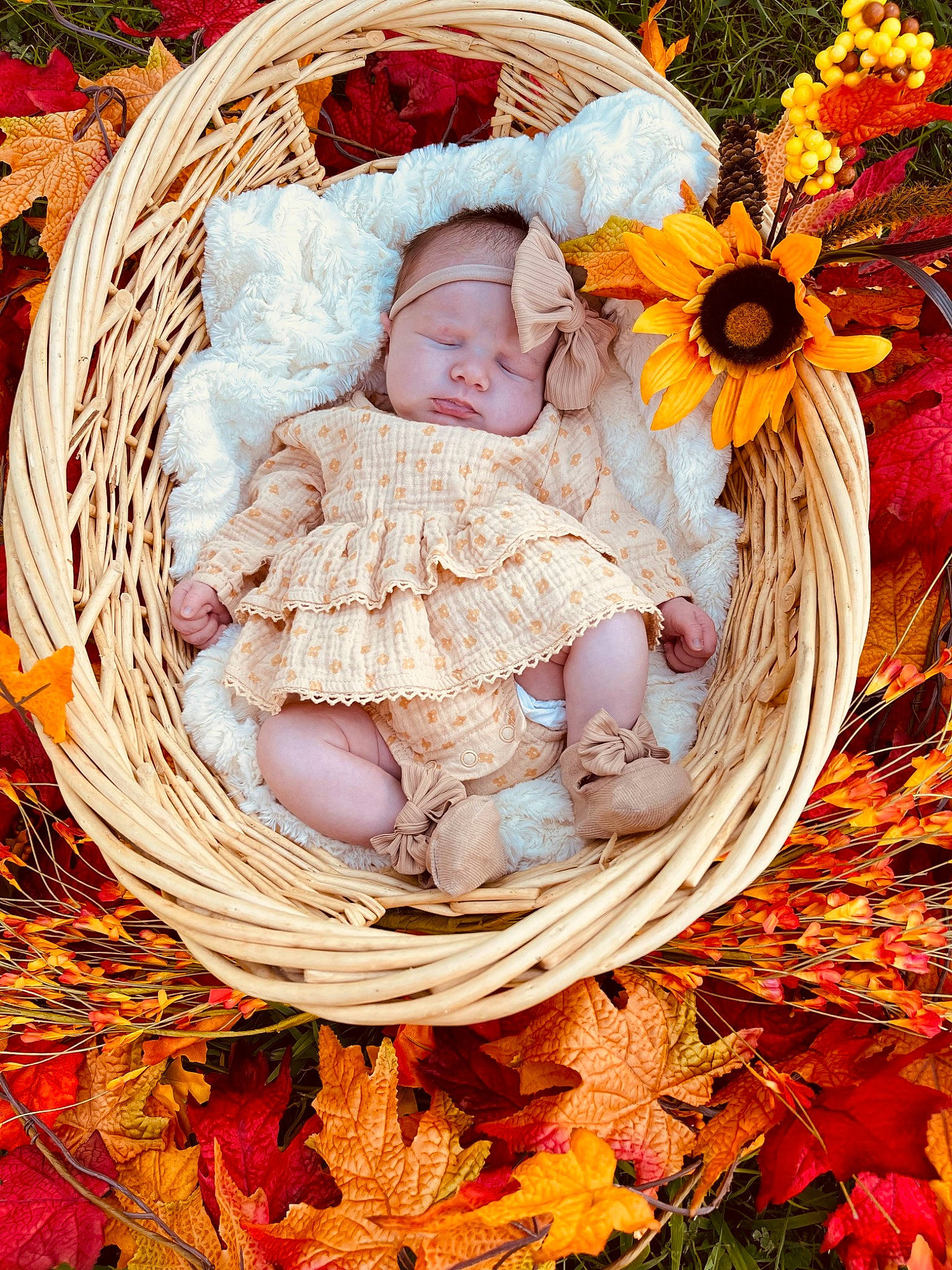 Jayden joined the competition — help win amazing prizes! baby, baby_products, baby_sleeping, baby_toddler_clothing, basket, child, comfort, fashion_accessory, grass, happy, leaf, linens, pattern, peach, people_in_nature, person, plant, portrait_photography, textile, toddler